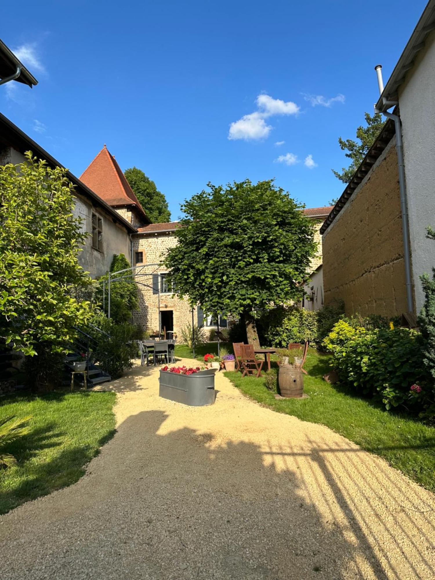 Chateau De La Saone Lens-Lestang Exteriör bild